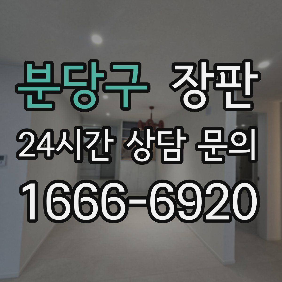 분당구 장판