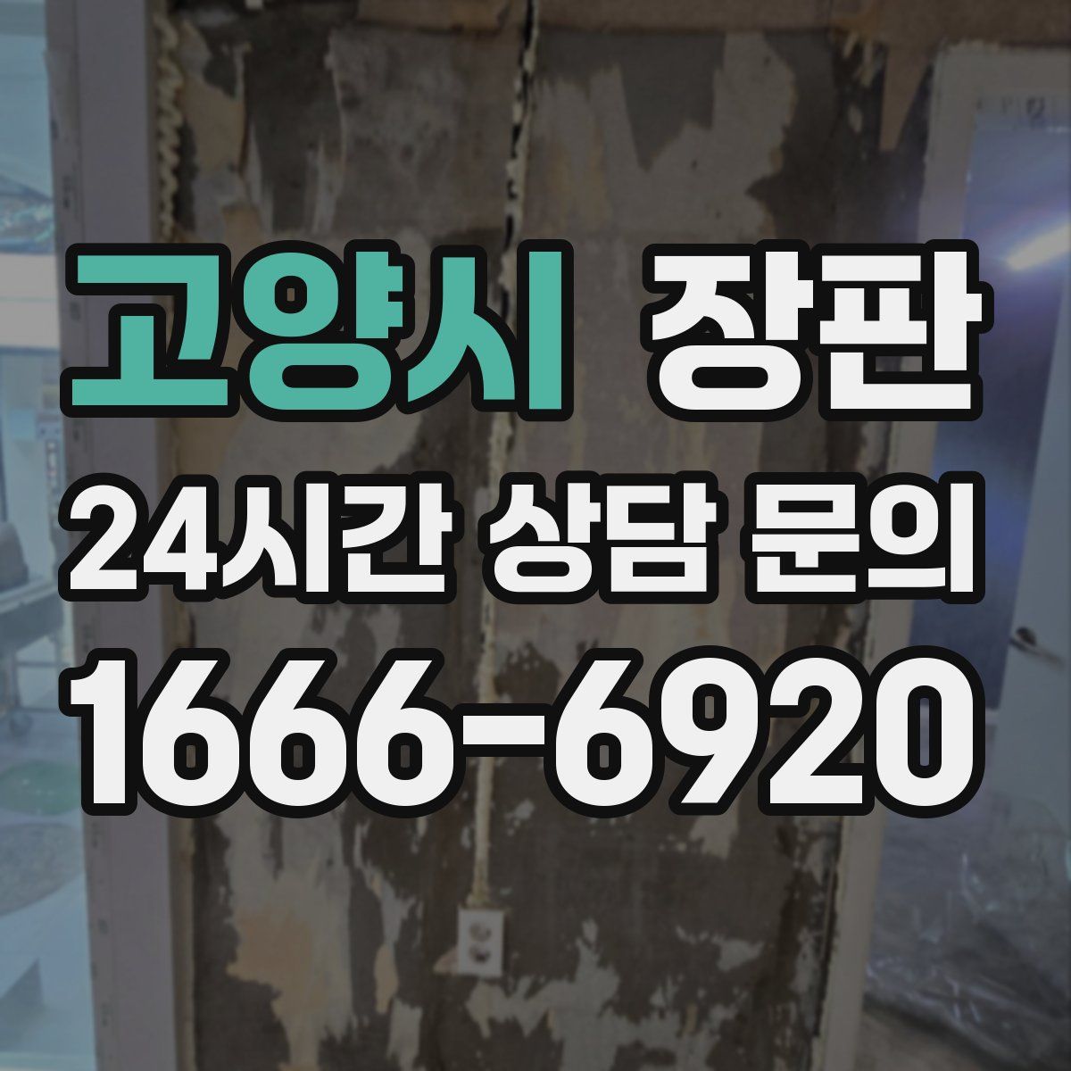 고양시 장판