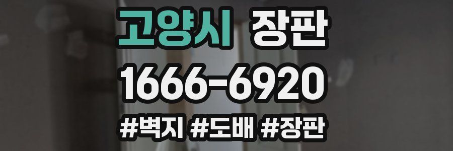 고양시 장판