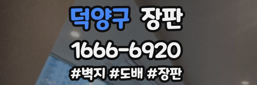 덕양구 장판