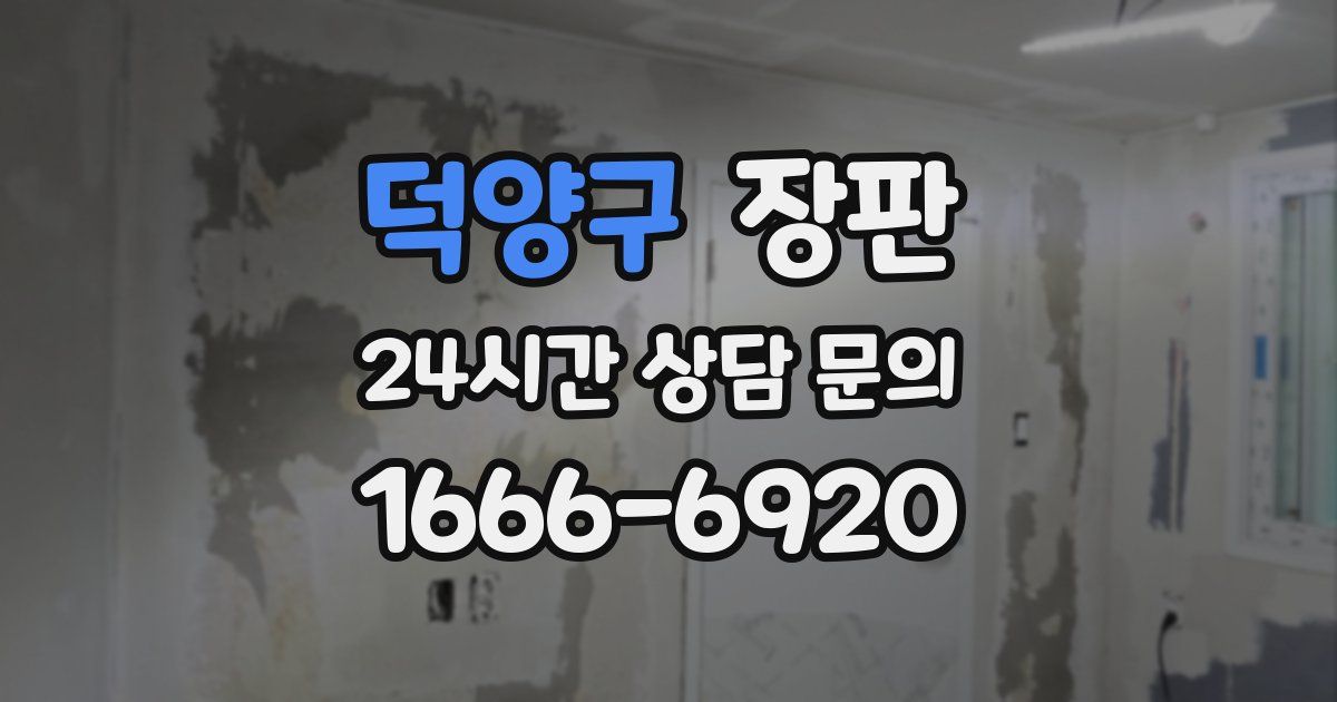 덕양구 장판