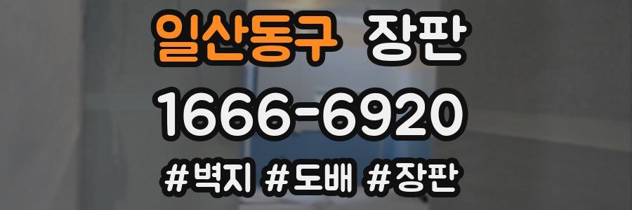 일산동구 장판