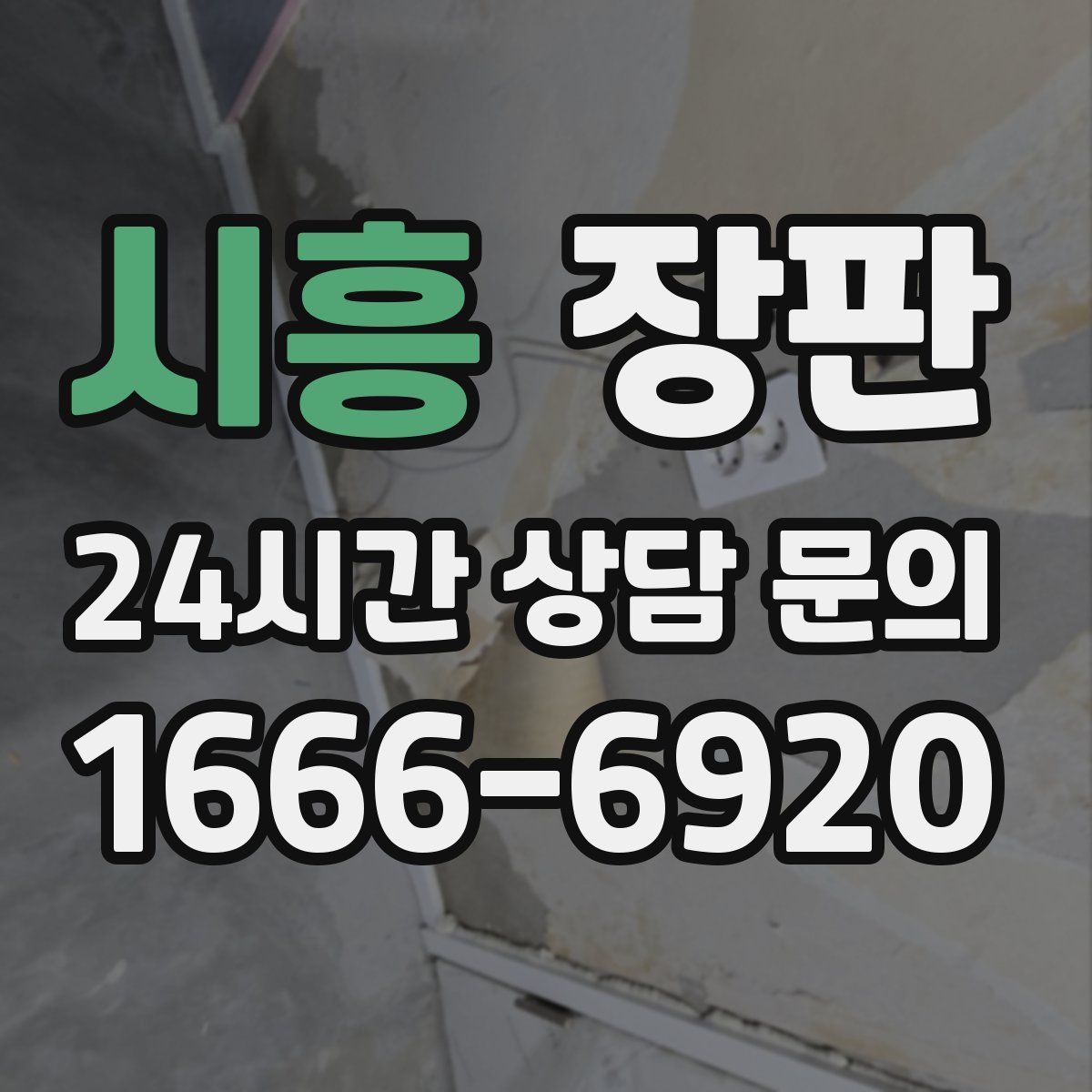 시흥 장판
