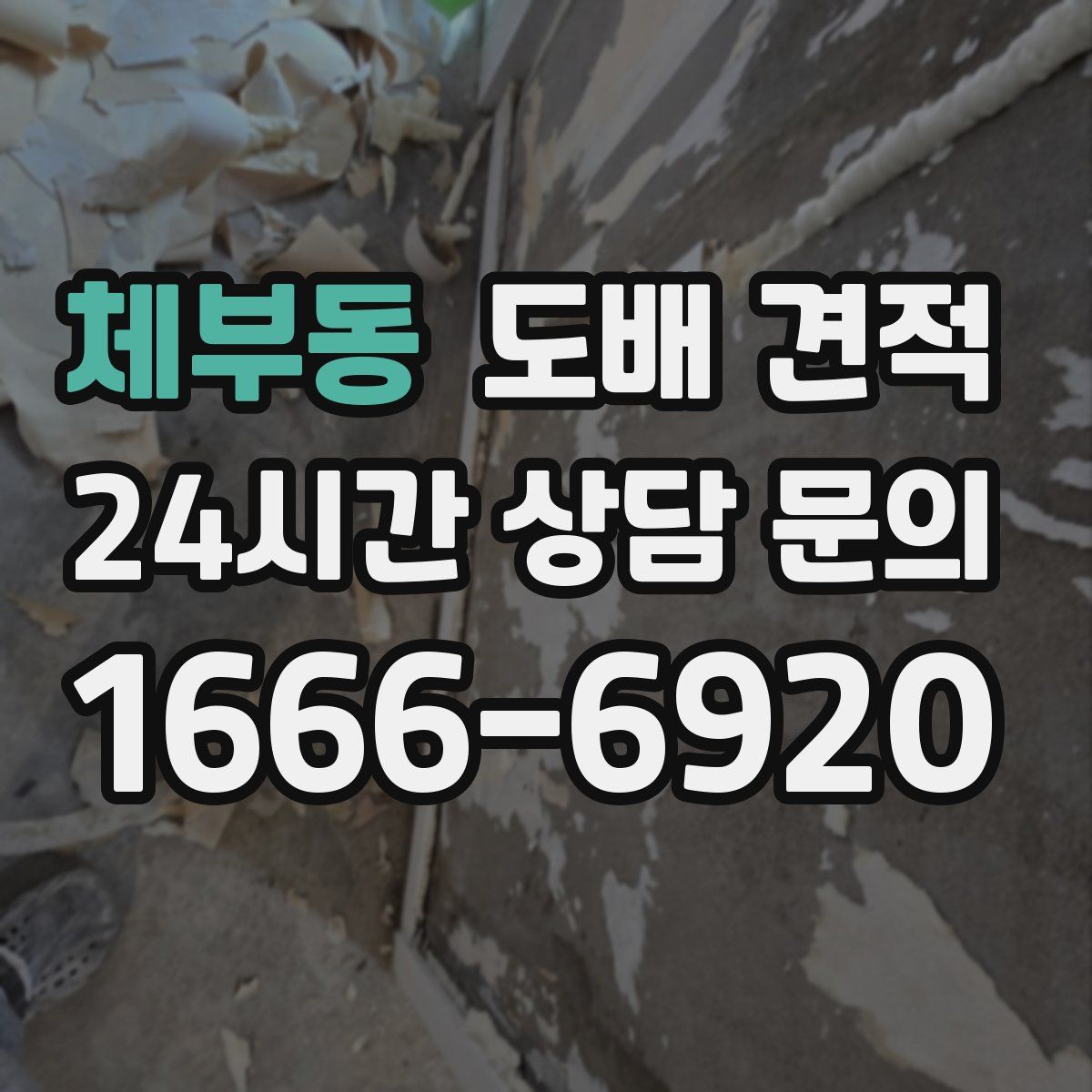 체부동 도배 견적