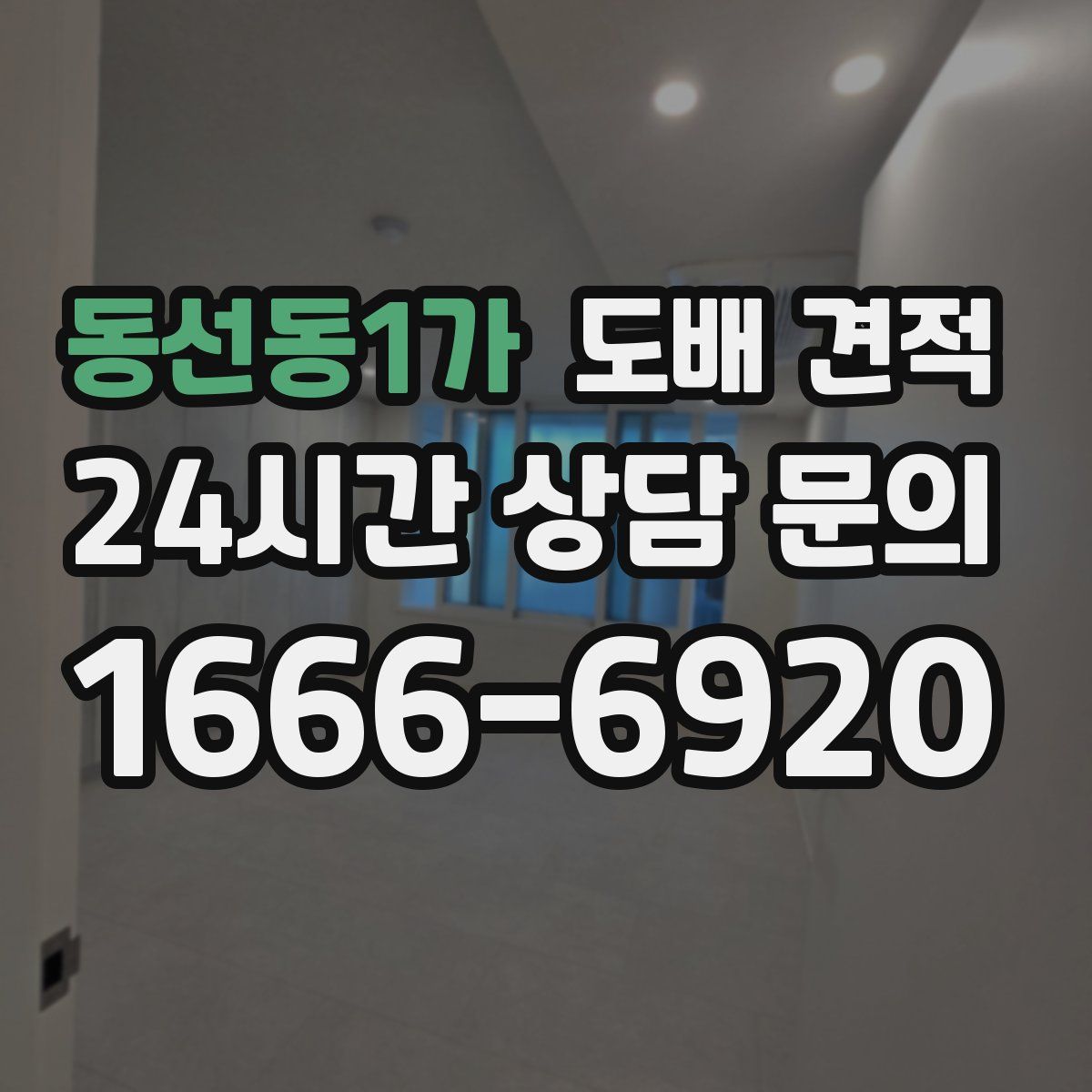 동선동1가 도배 견적