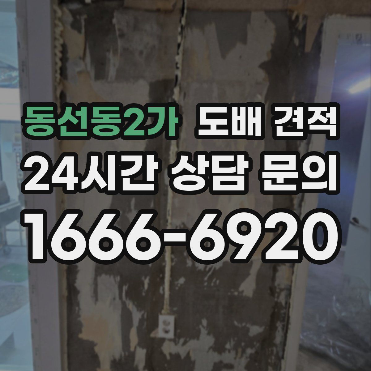 동선동2가 도배 견적