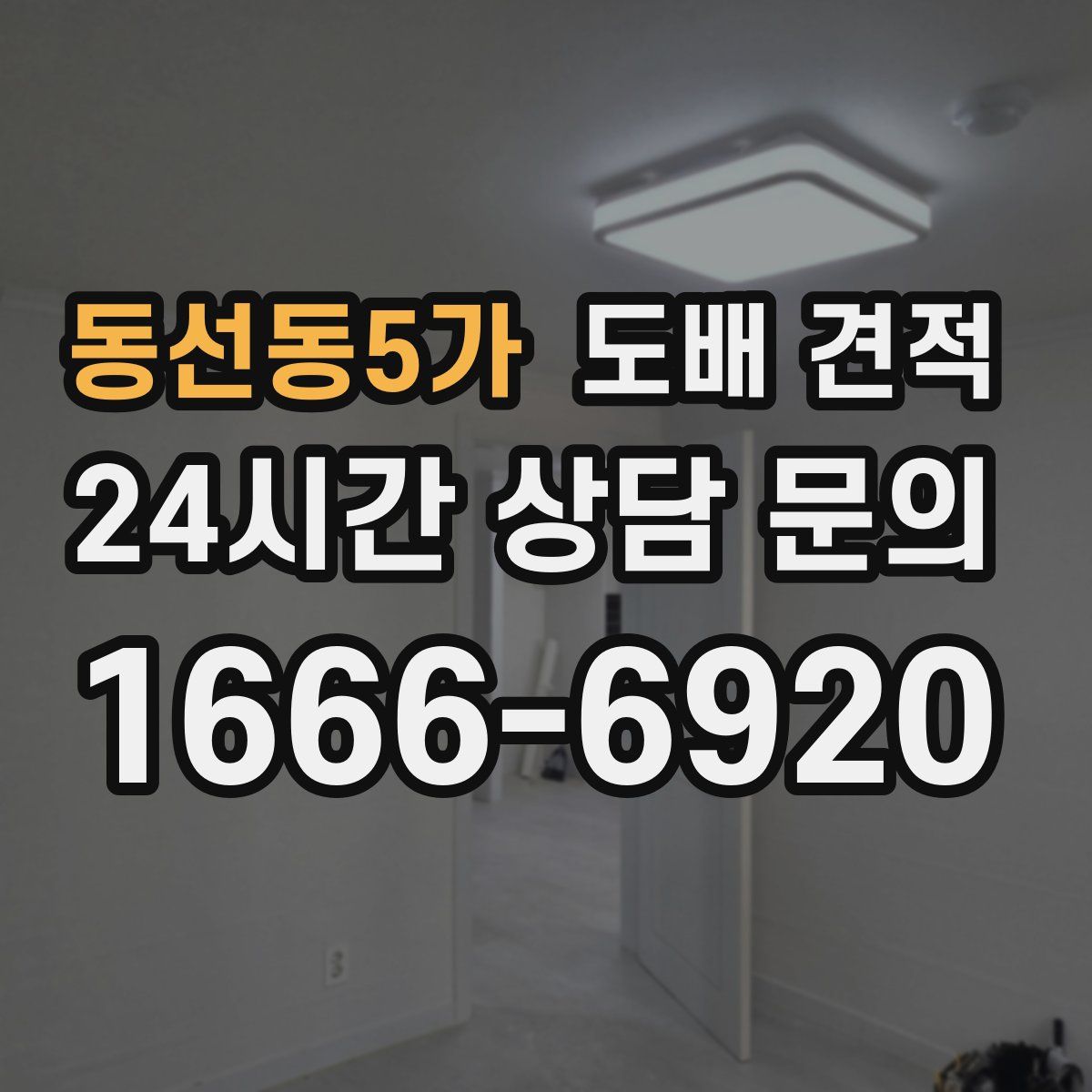 동선동5가 도배 견적