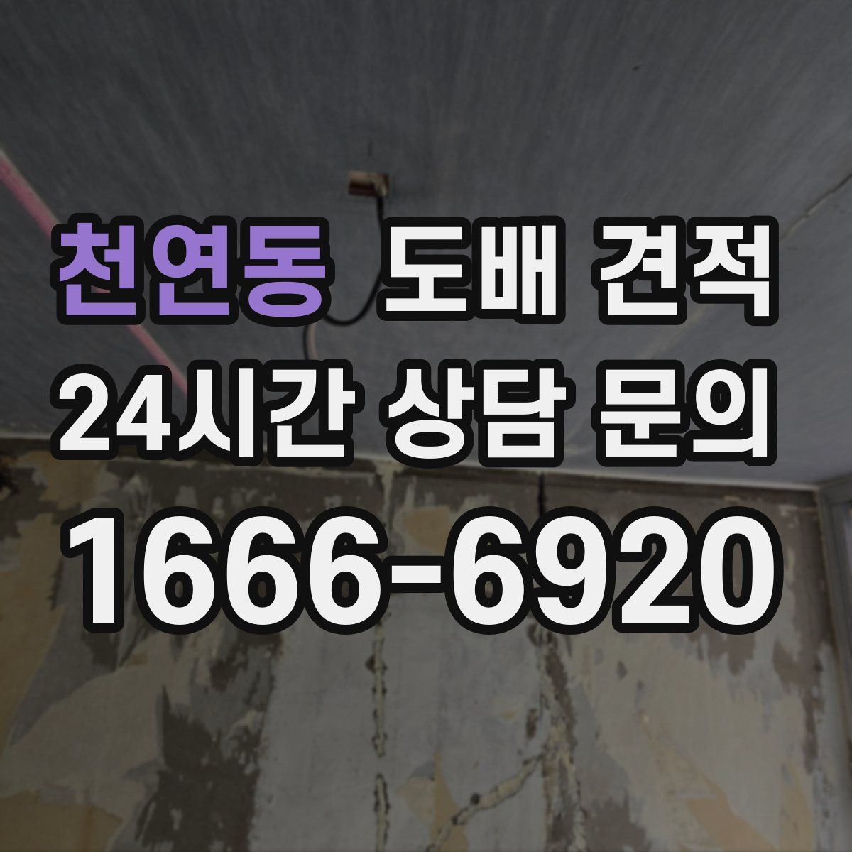 천연동 도배 견적