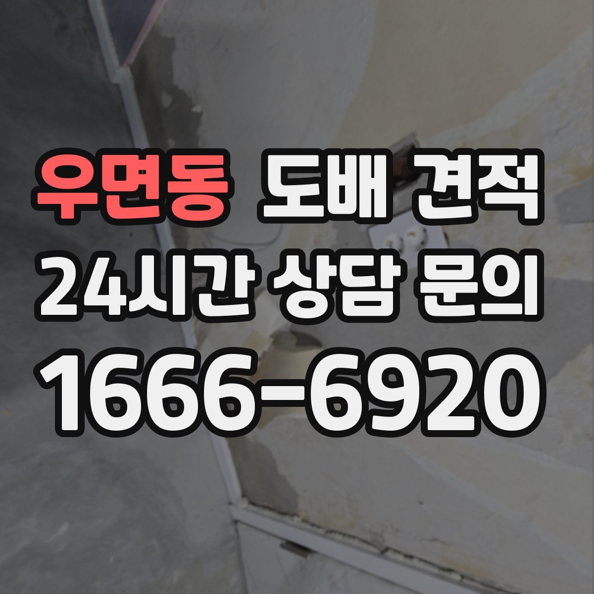 우면동 도배 견적
