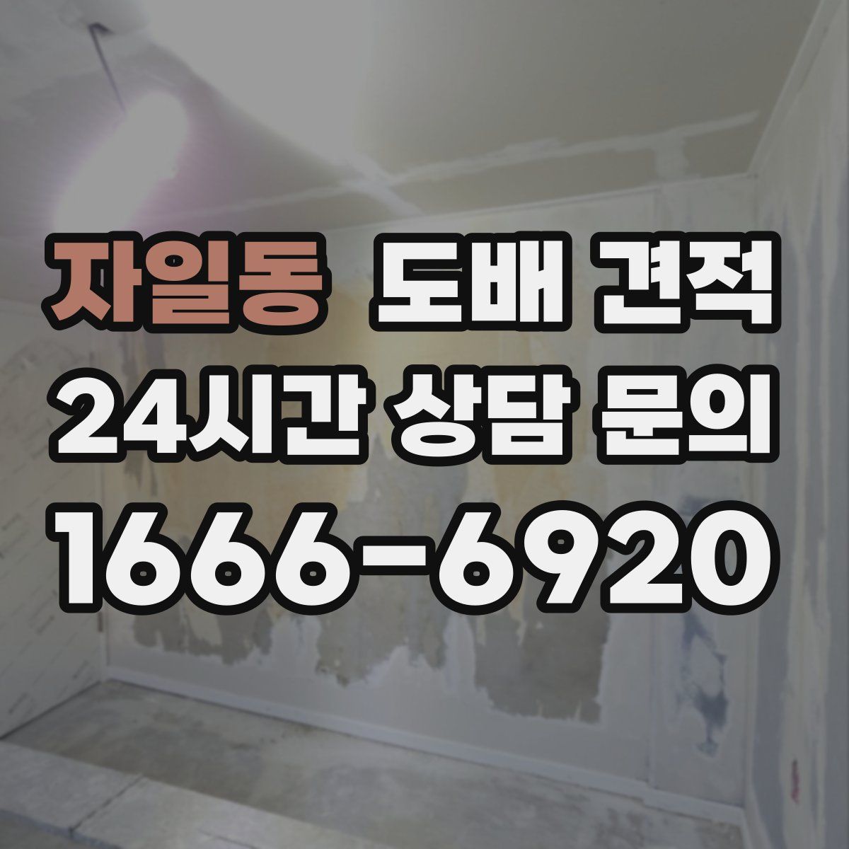 자일동 도배 견적