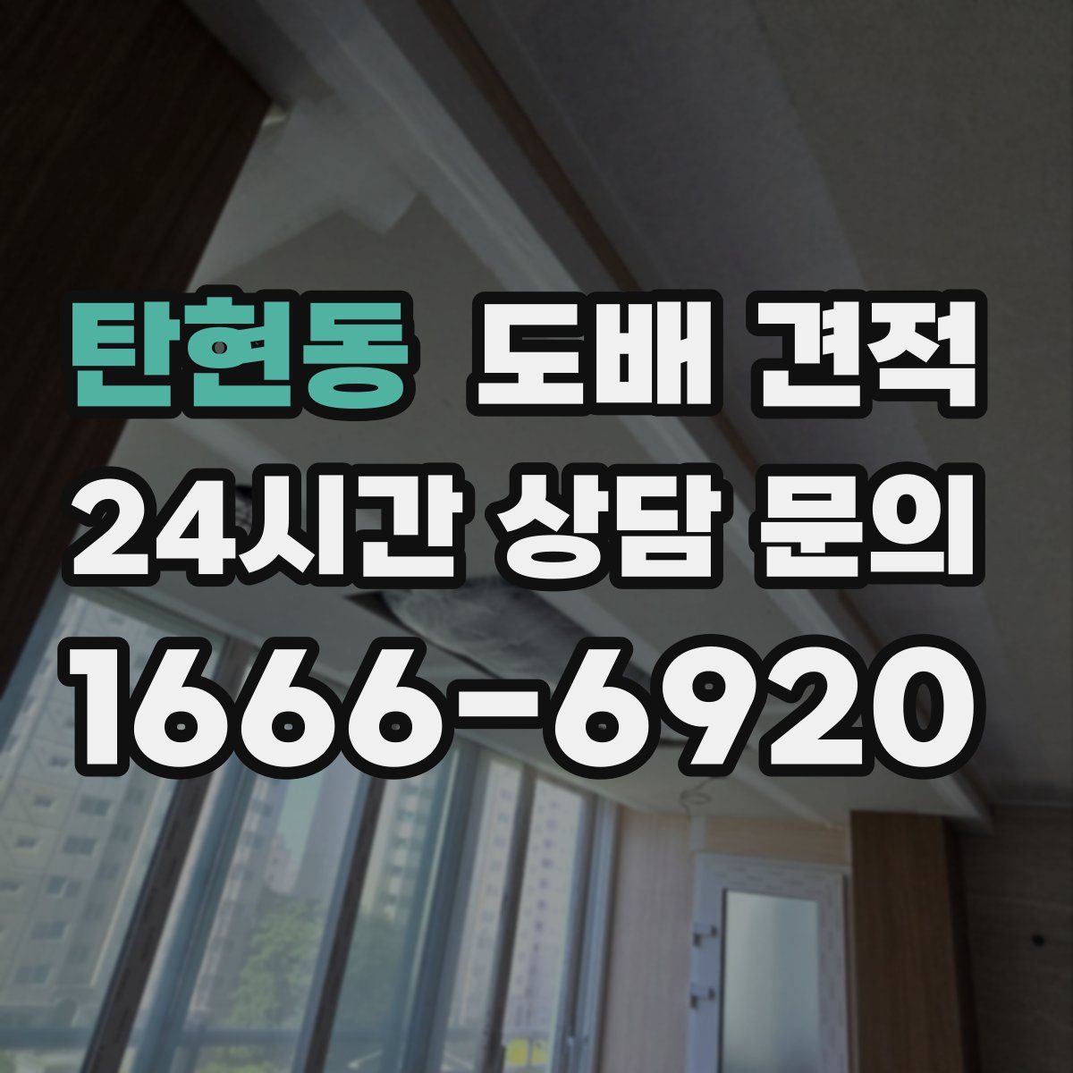 탄현동 도배 견적
