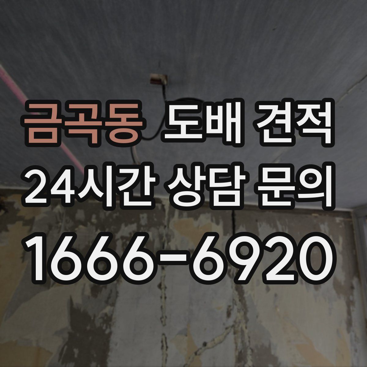 금곡동 도배 견적