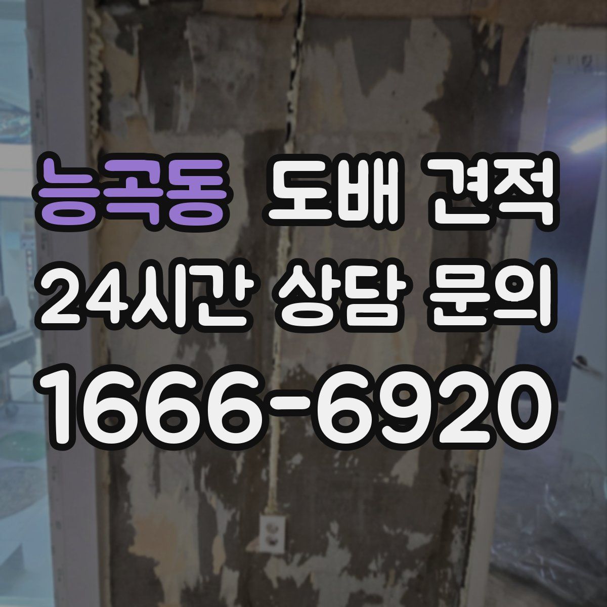 능곡동 도배 견적