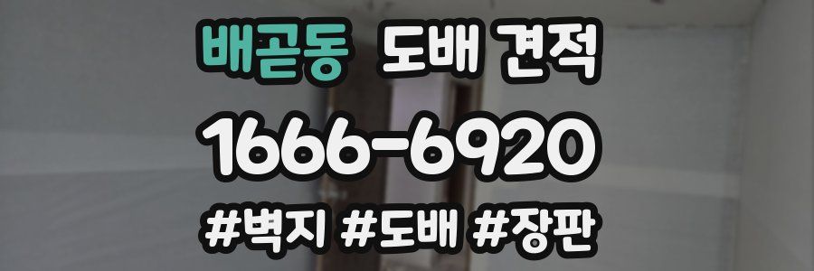 배곧동 도배 견적