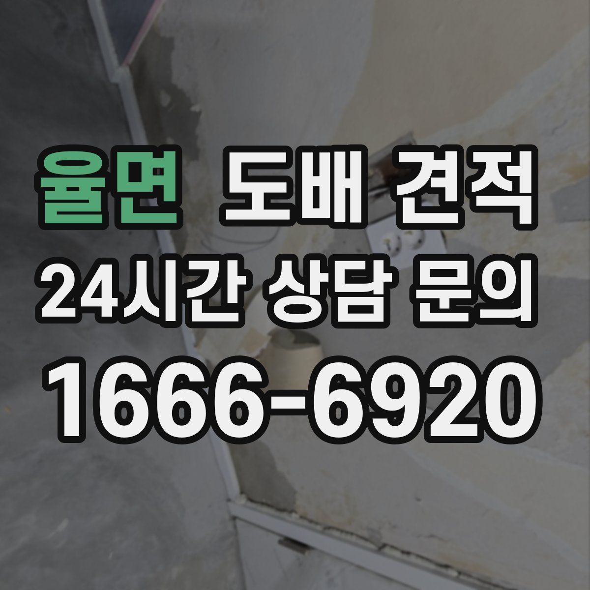 율면 도배 견적
