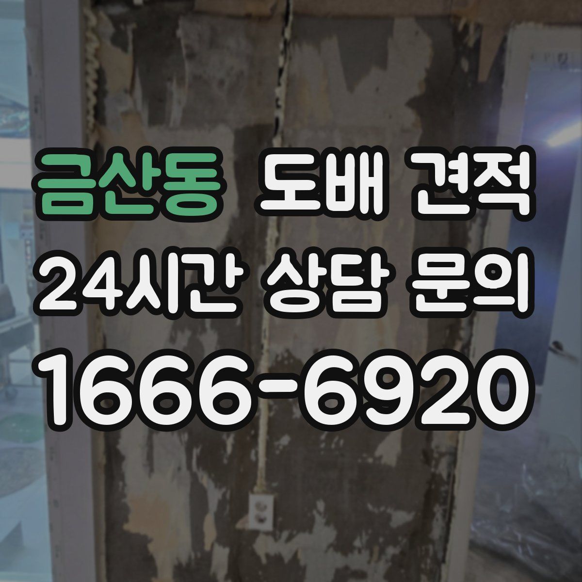 금산동 도배 견적