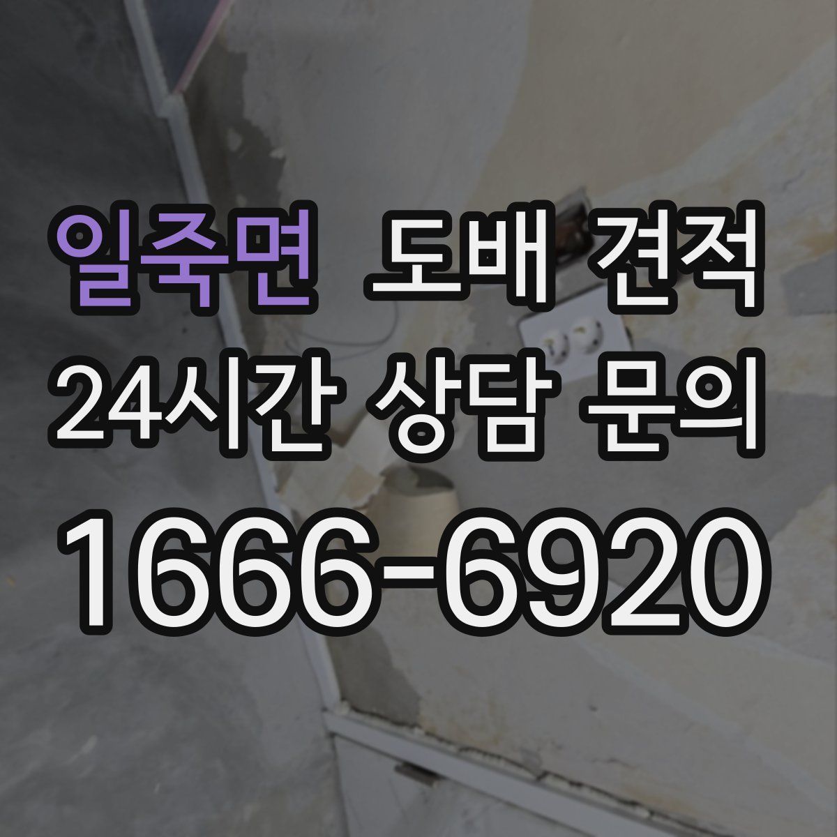 일죽면 도배 견적