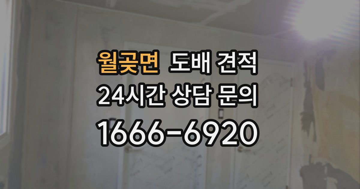 월곶면 도배 견적