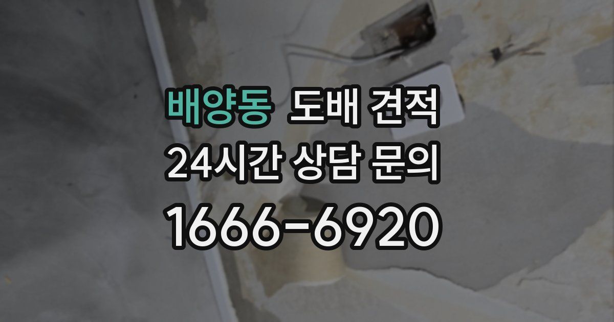 배양동 도배 견적