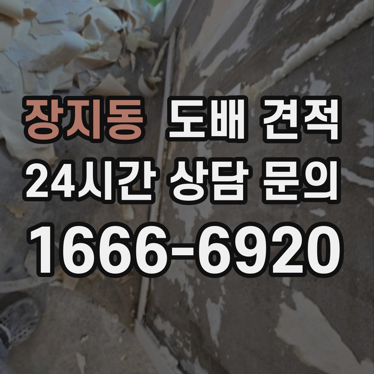 장지동 도배 견적