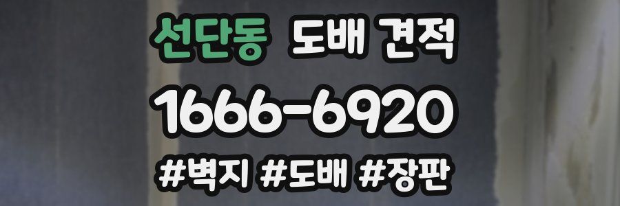 선단동 도배 견적