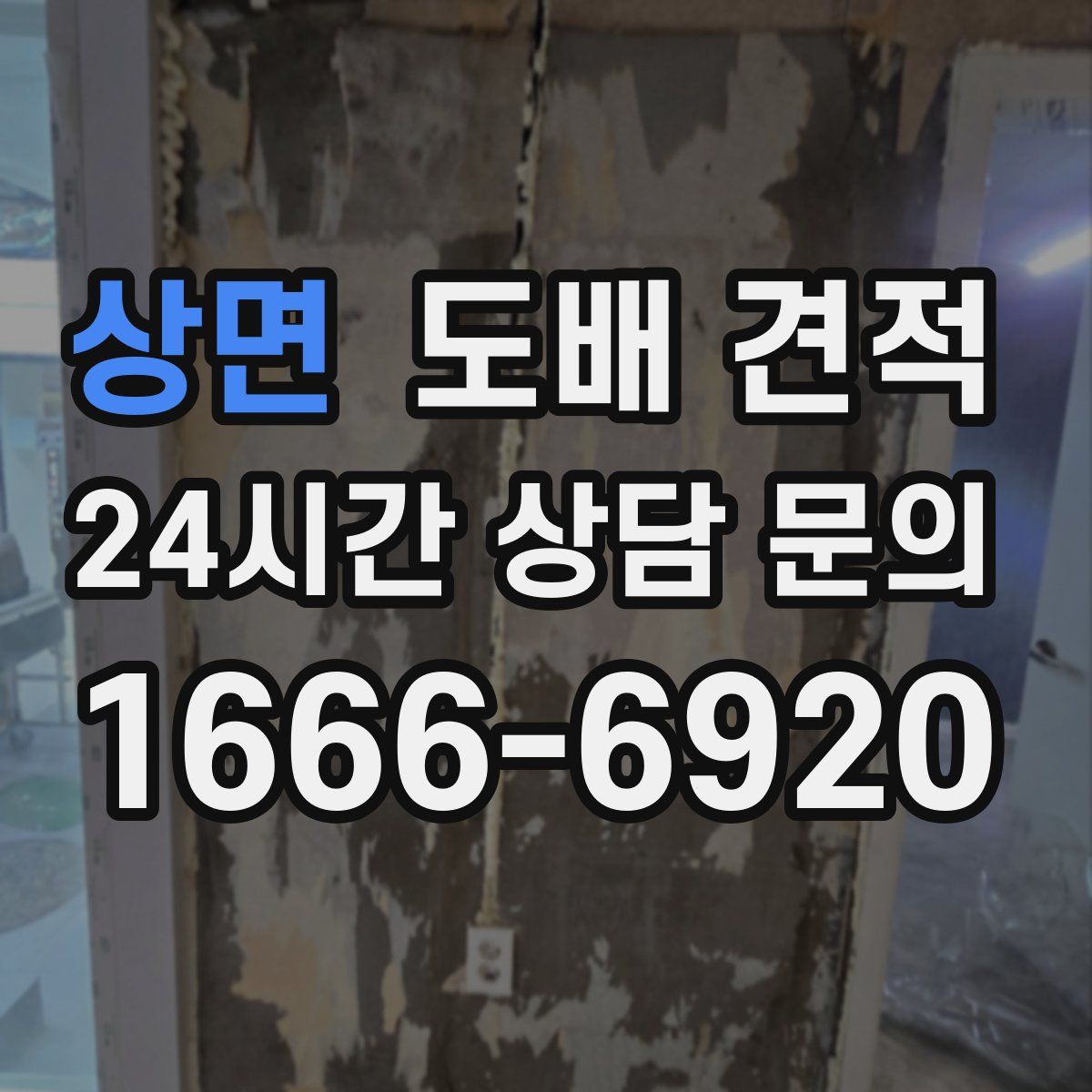 상면 도배 견적