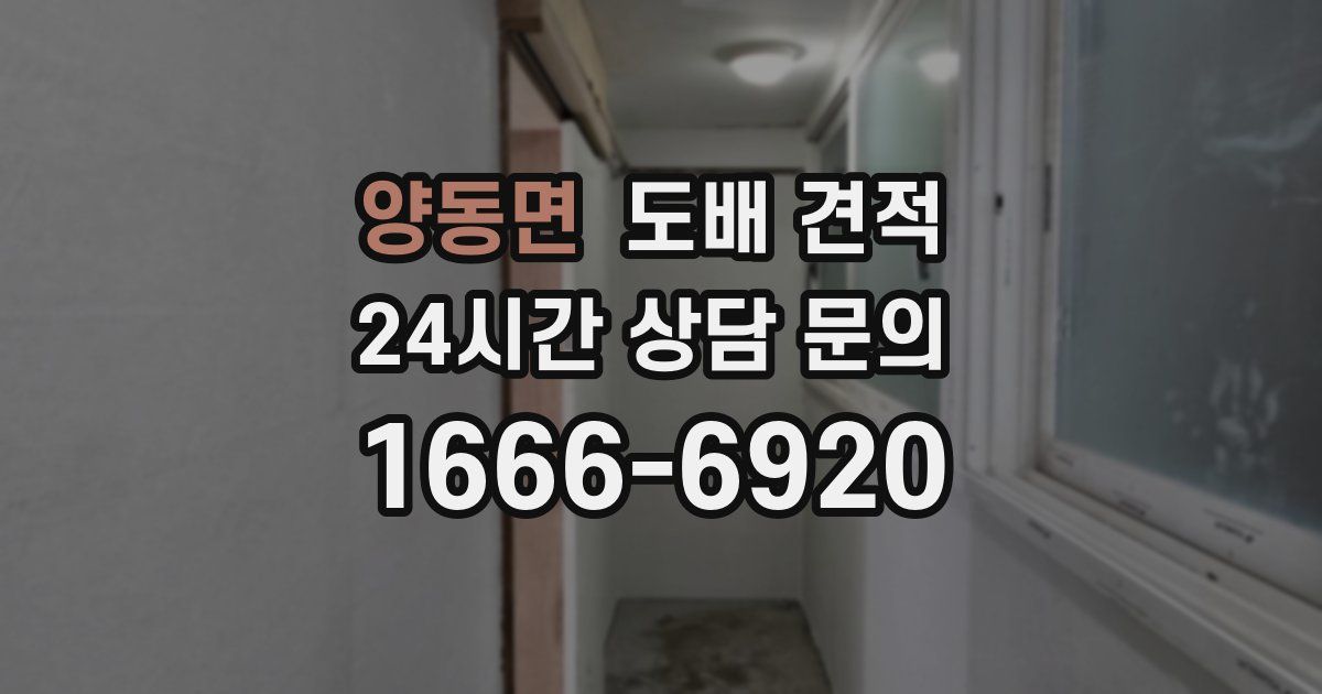 양동면 도배 견적