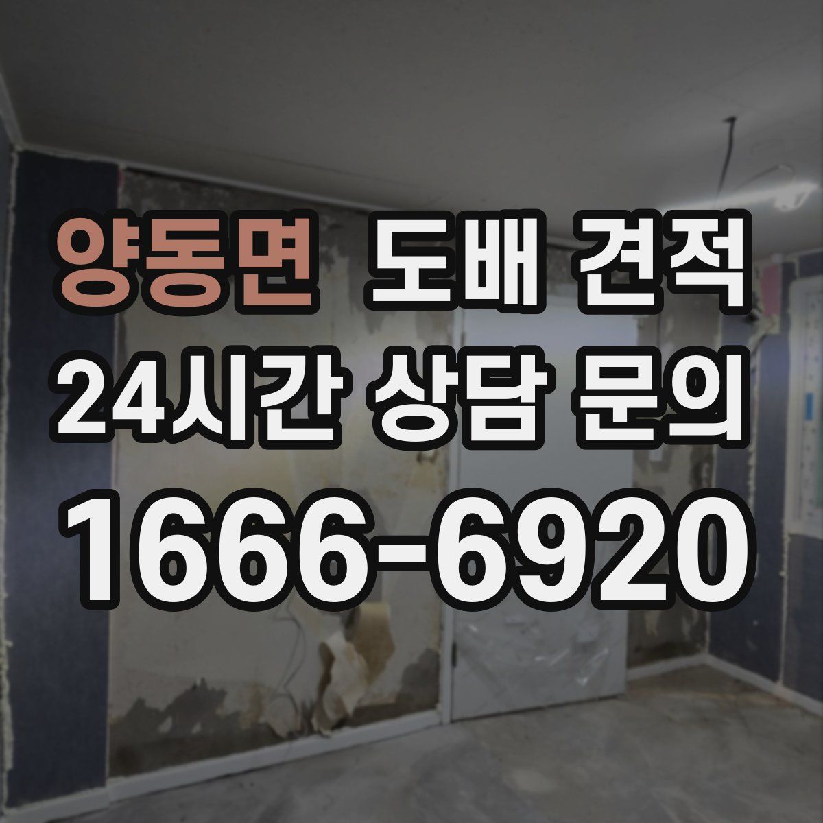 양동면 도배 견적
