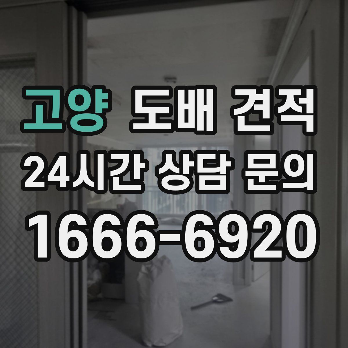 고양 도배 견적
