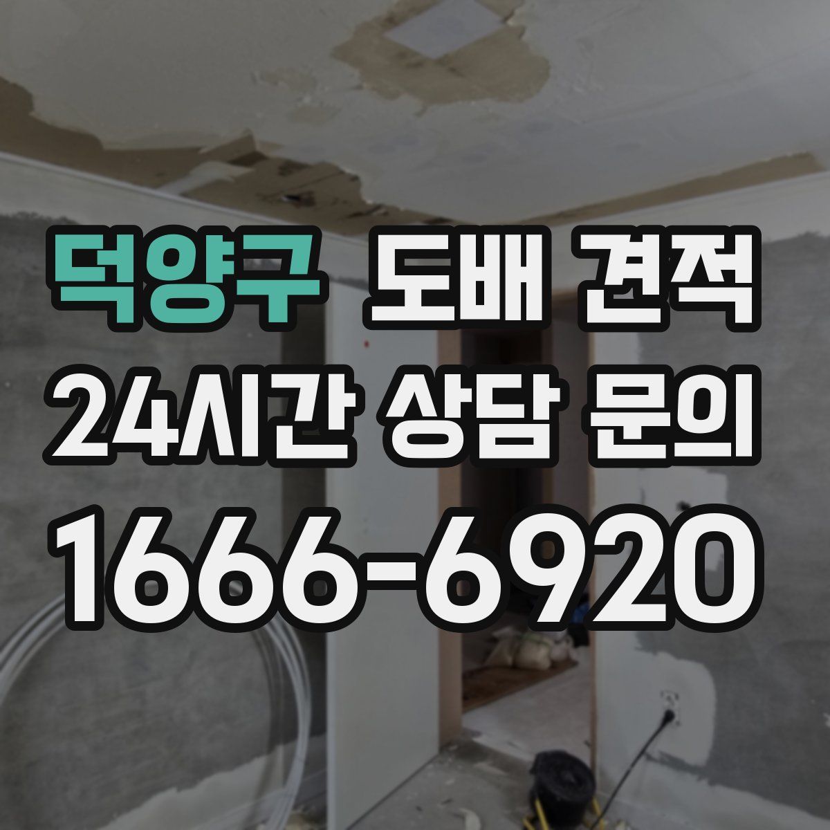 덕양구 도배 견적