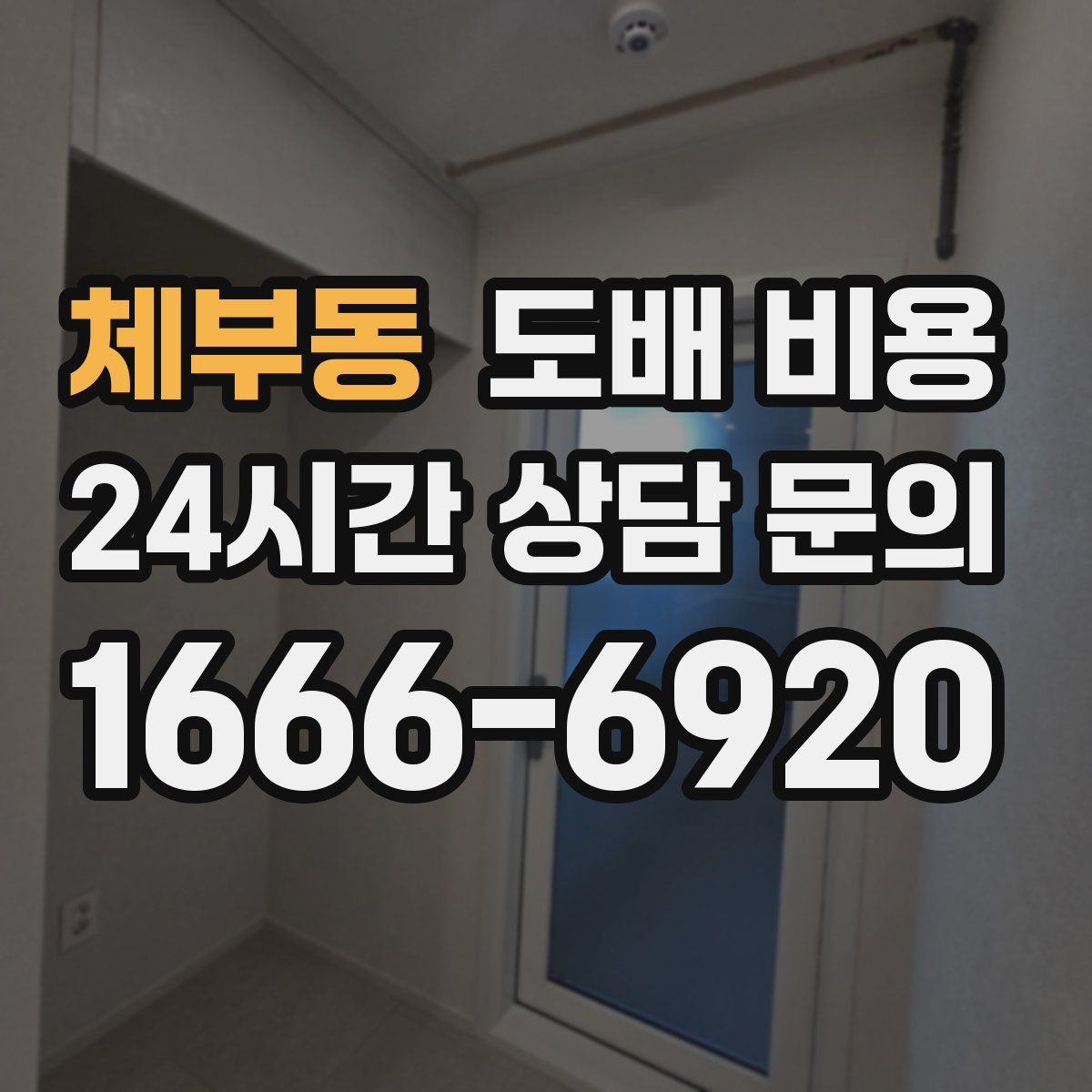 체부동 도배 비용