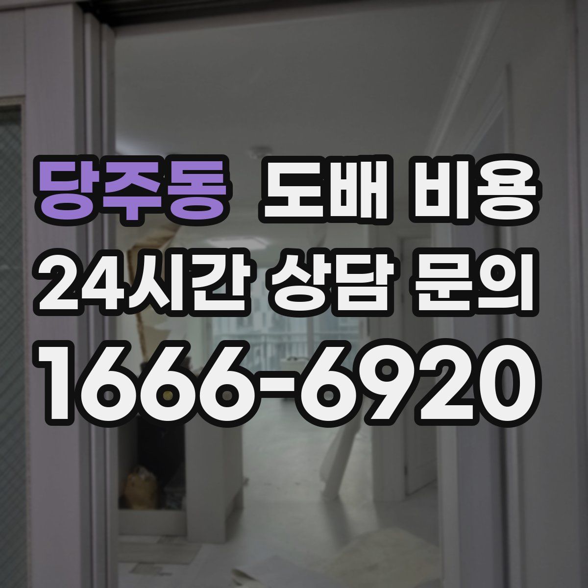 당주동 도배 비용