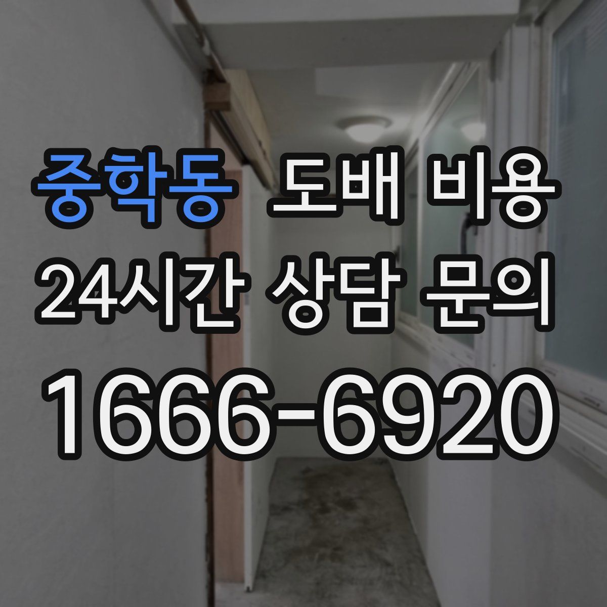 중학동 도배 비용