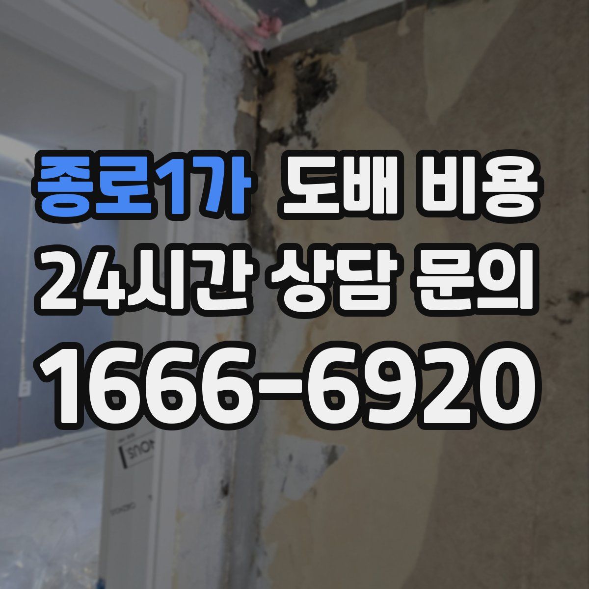 종로1가 도배 비용