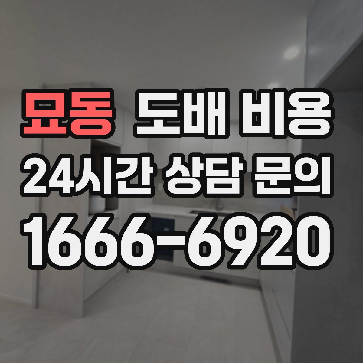 묘동 도배 비용