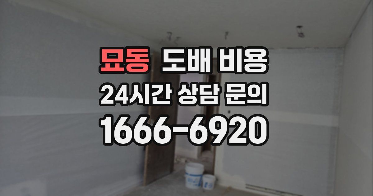 묘동 도배 비용