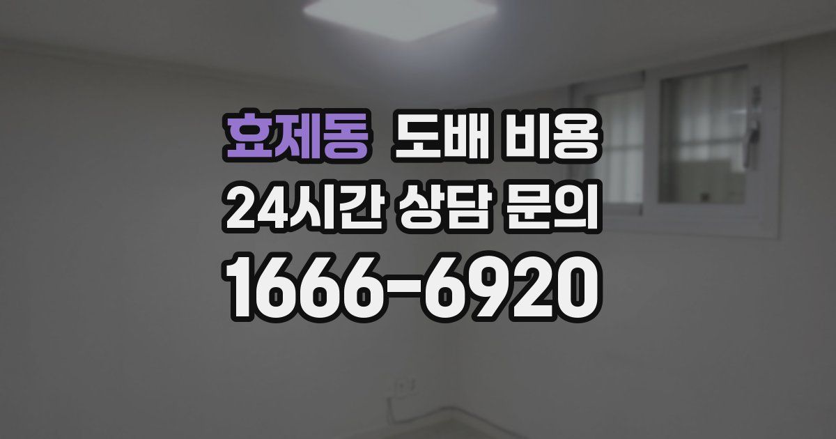 효제동 도배 비용