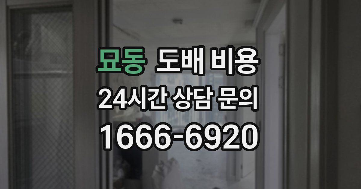 묘동 도배 비용