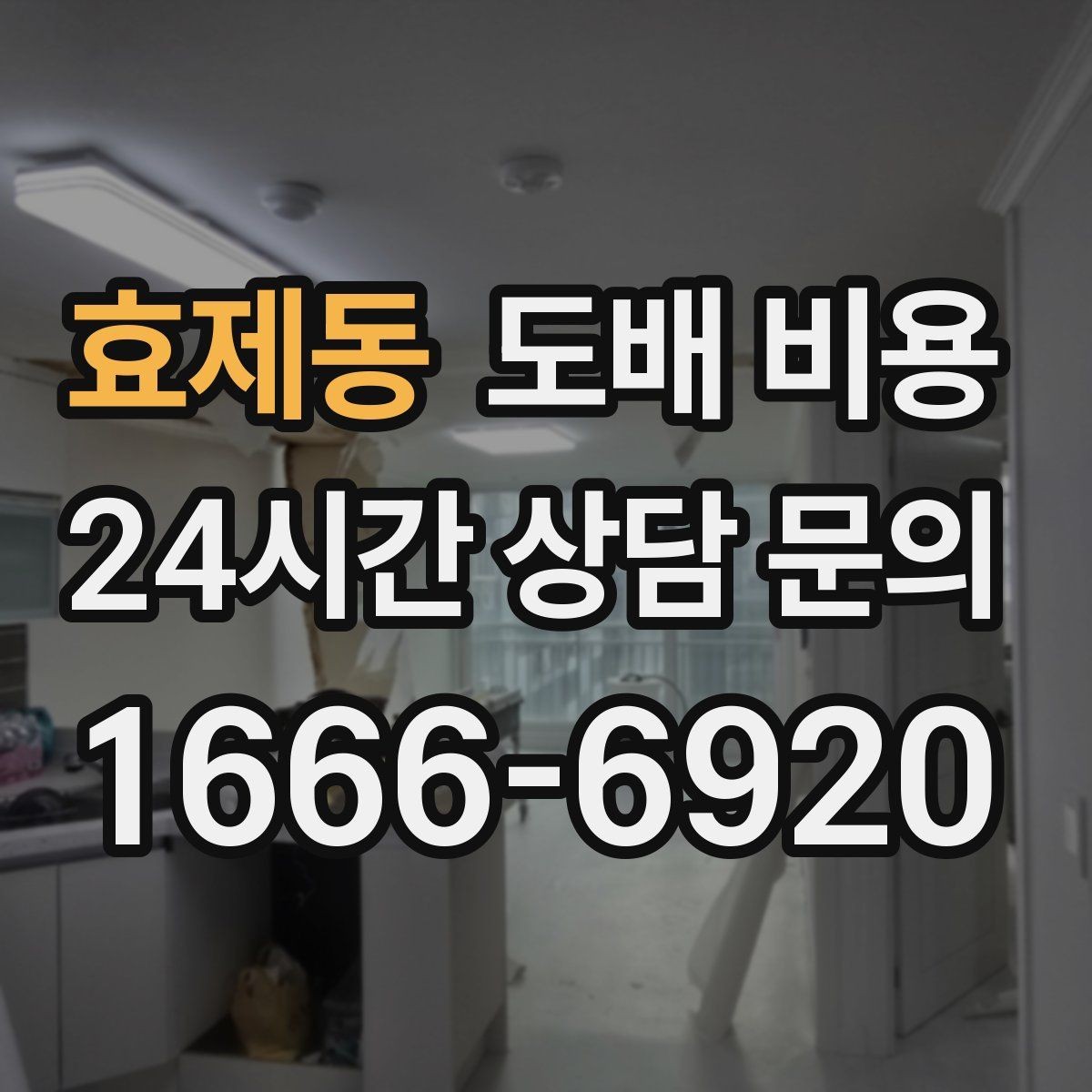 효제동 도배 비용 확인 전 알아두면 좋은 기본 정보
