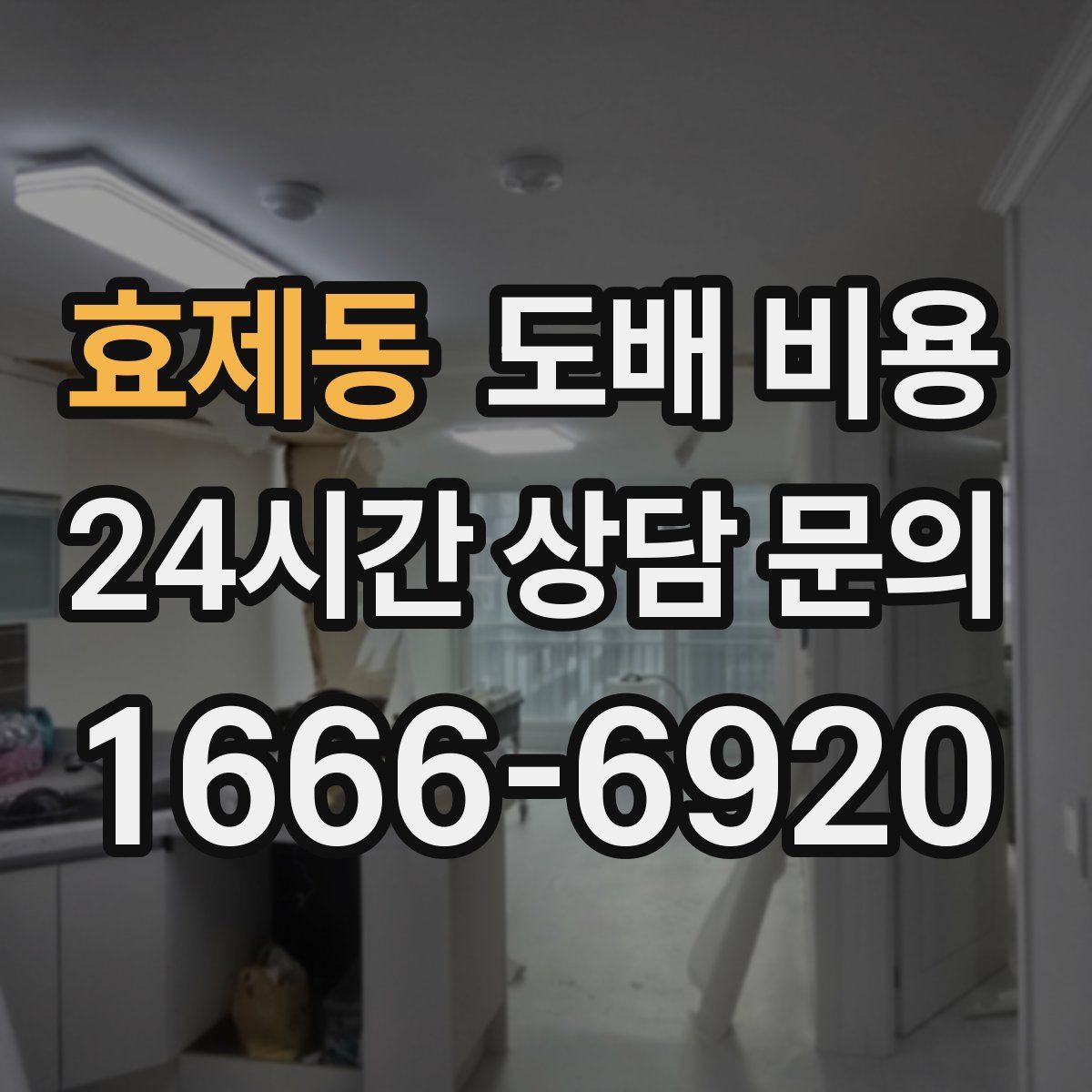 효제동 도배 비용