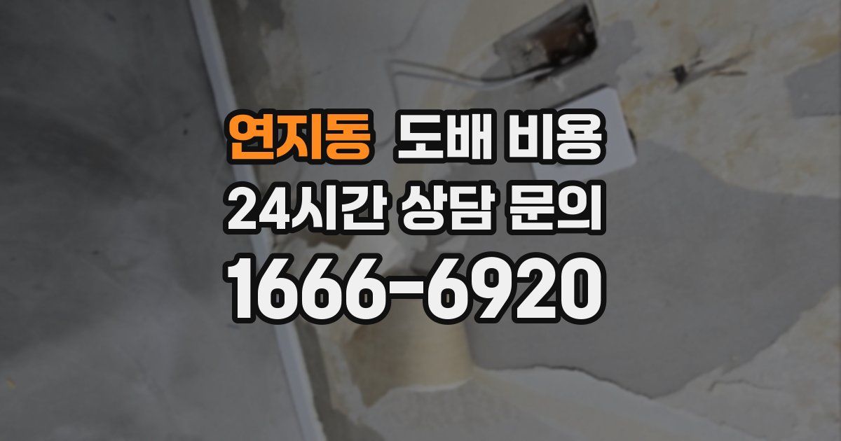 연지동 도배 비용