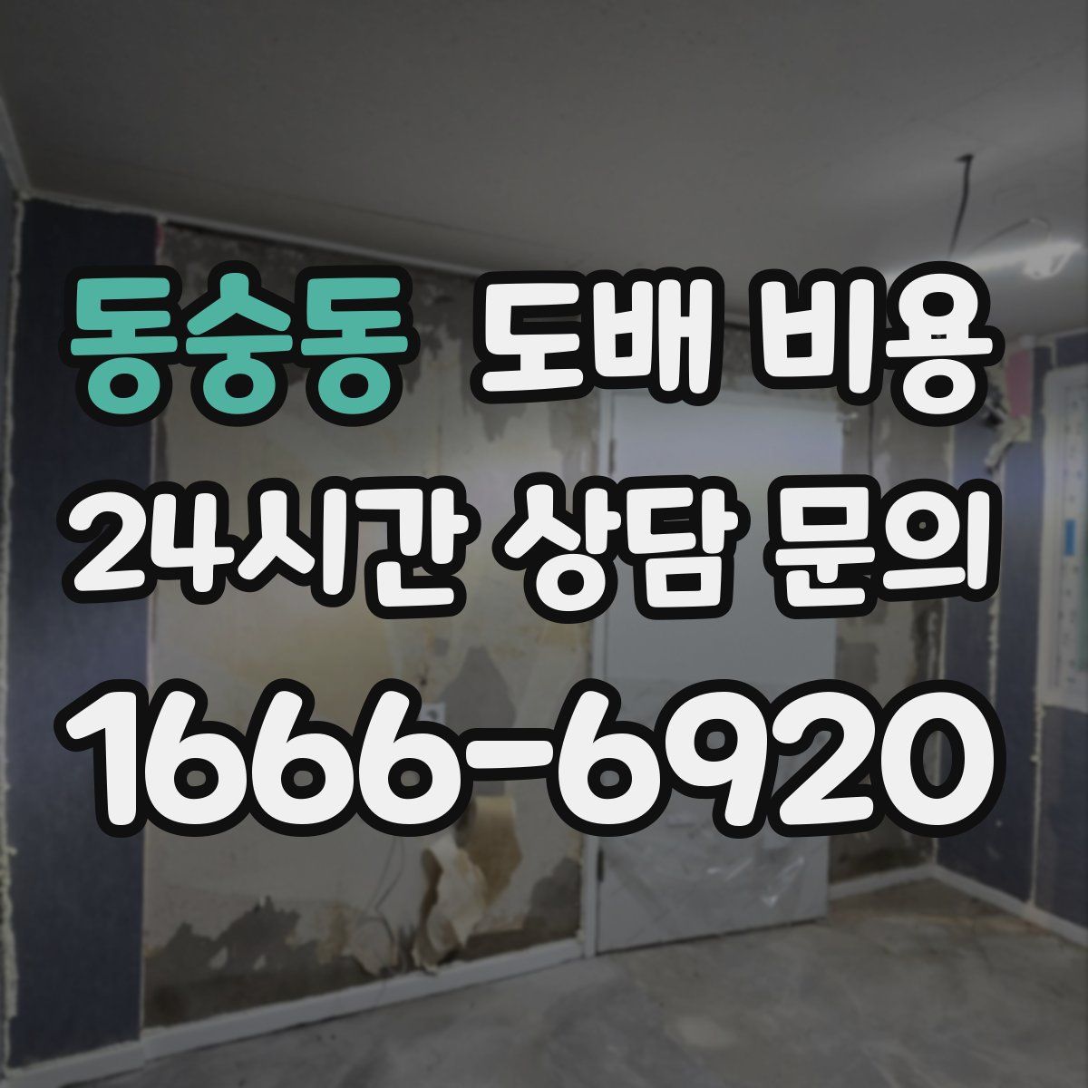 동숭동 도배 비용