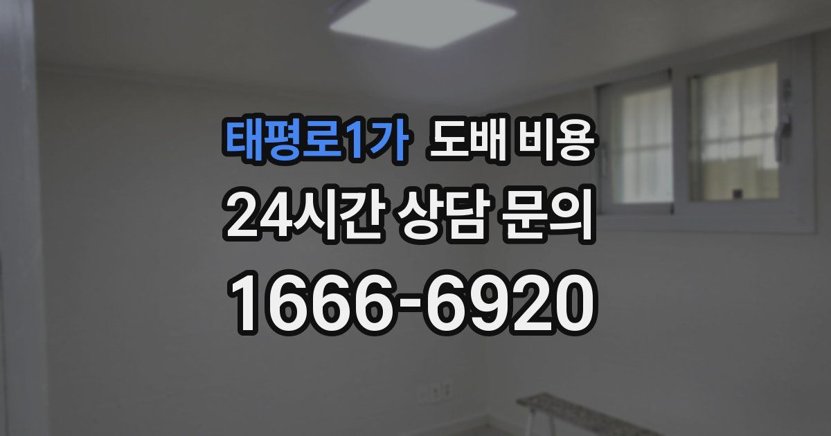 태평로1가 도배 비용