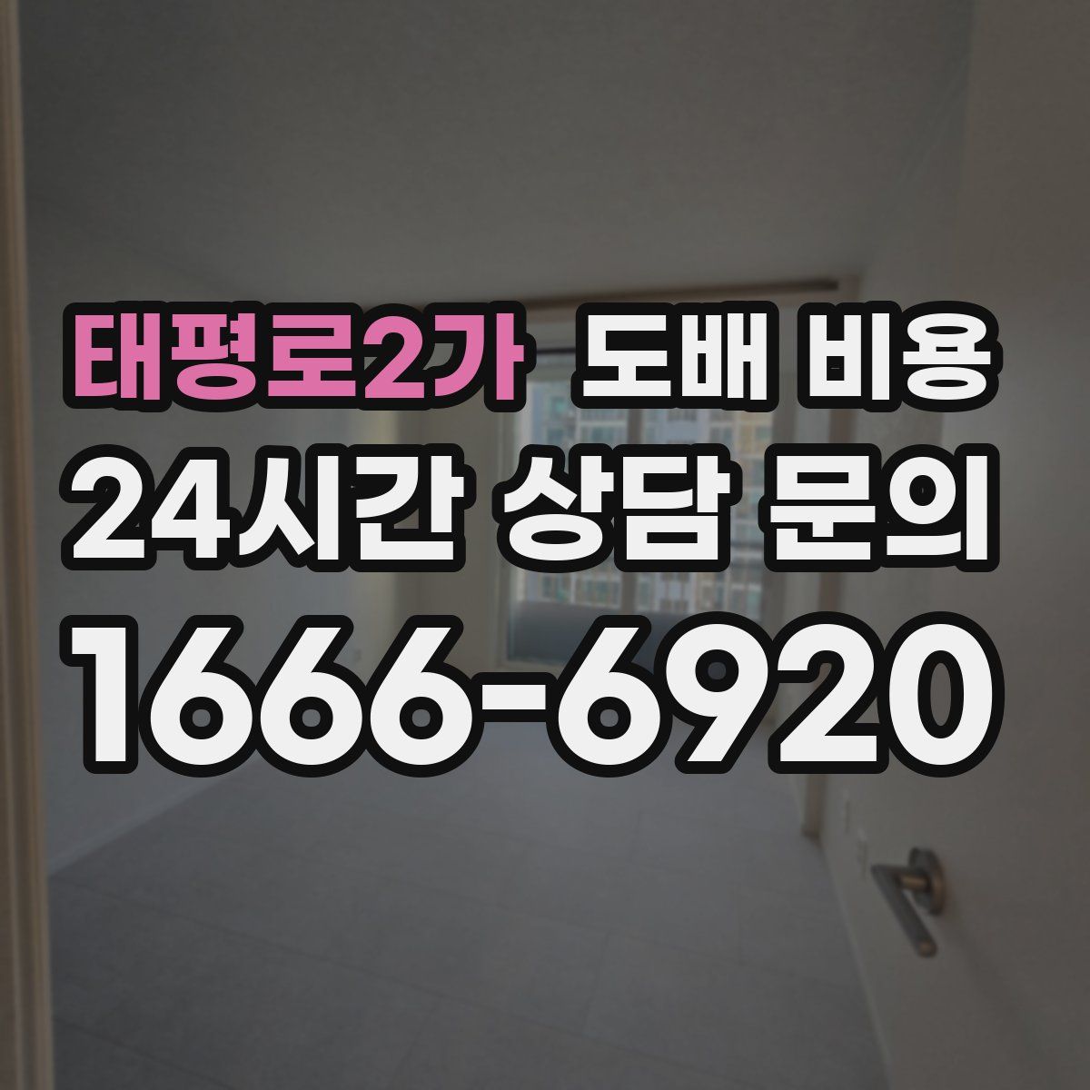 태평로2가 도배 비용