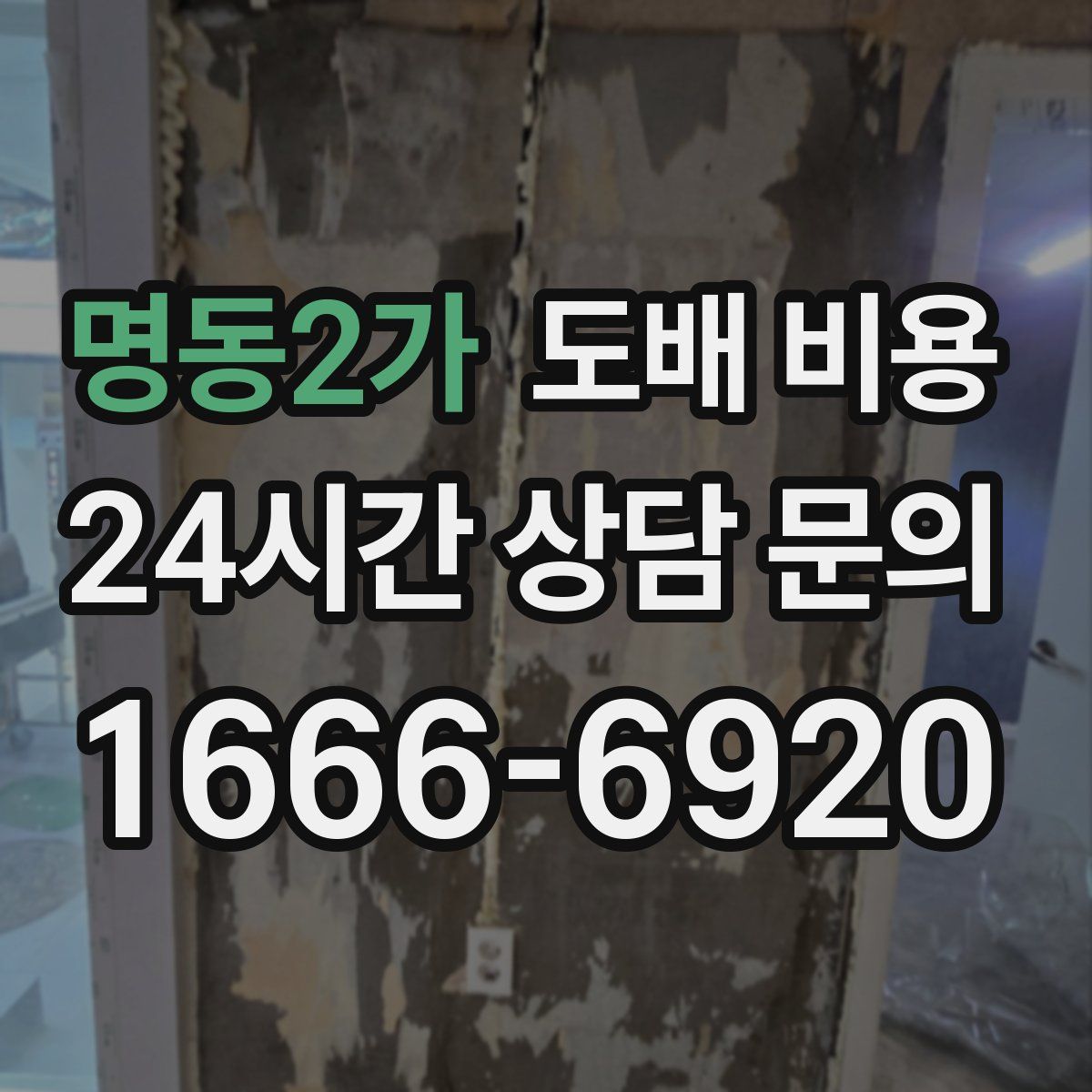 명동2가 도배 비용
