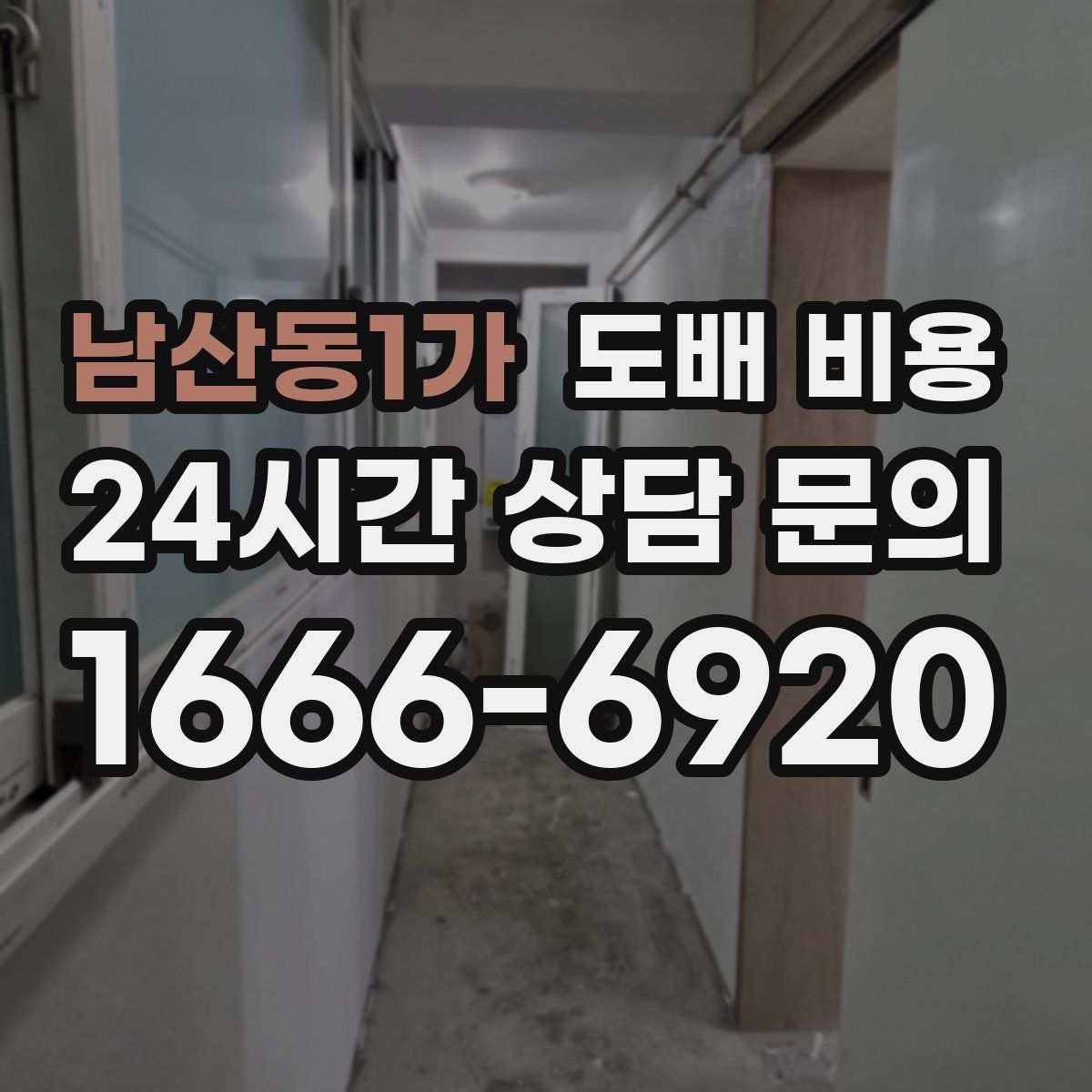 남산동1가 도배 비용