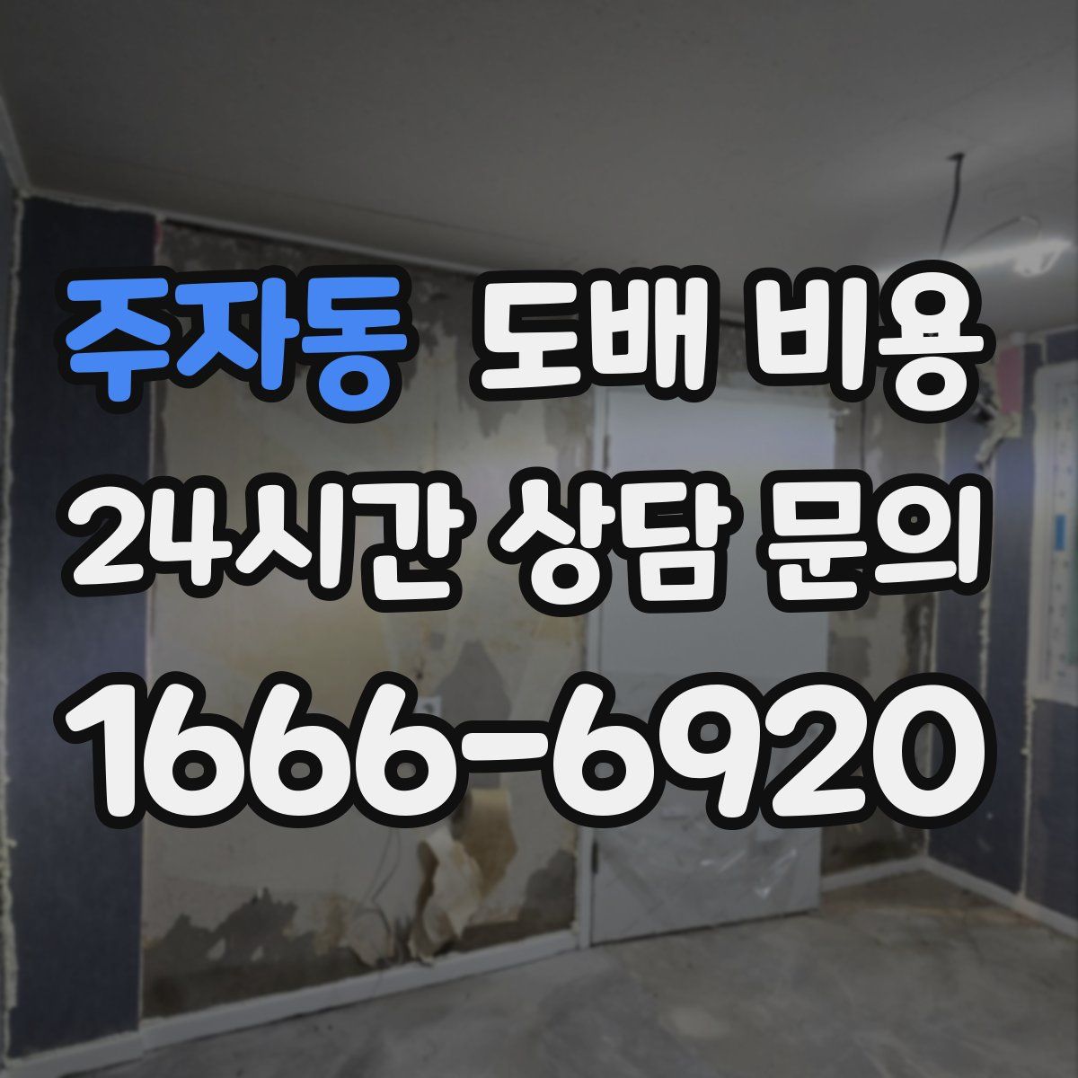 주자동 도배 비용