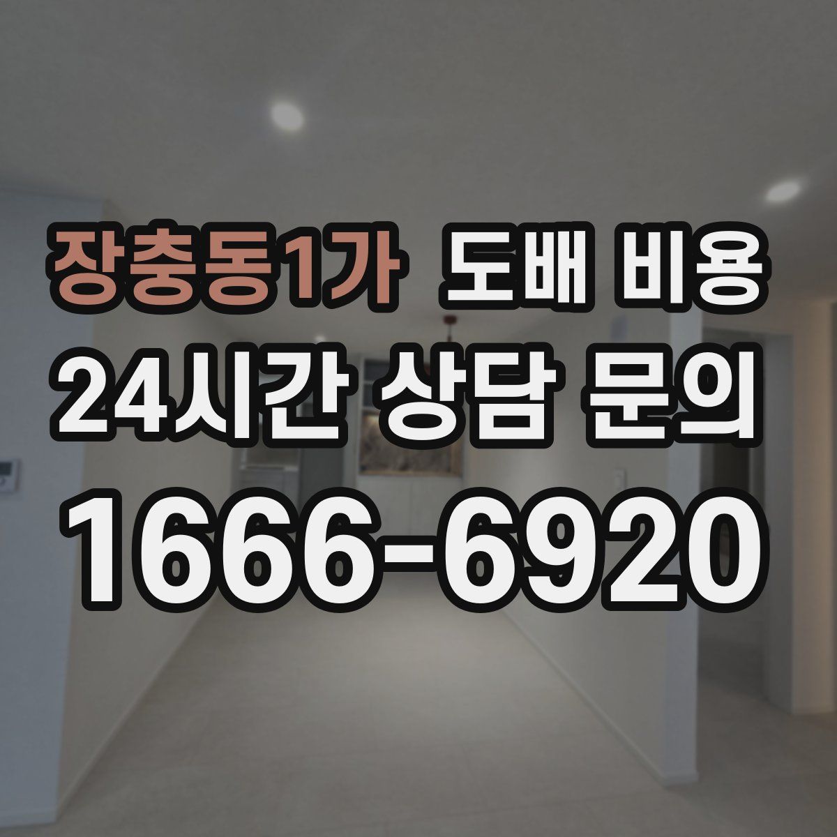 장충동1가 도배 비용