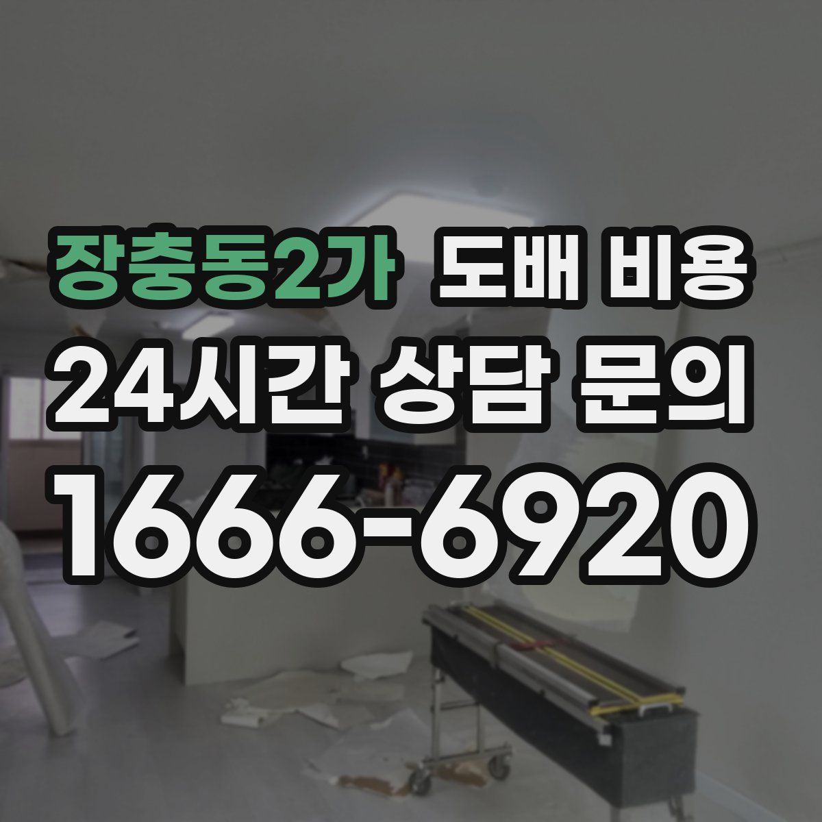 장충동2가 도배 비용