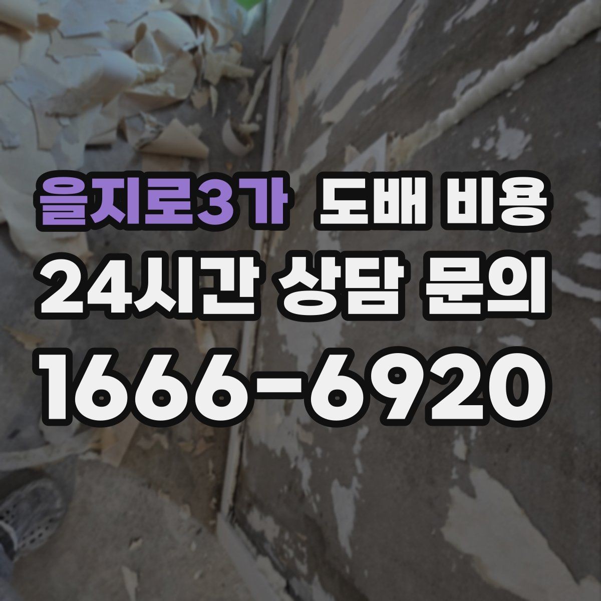 을지로3가 도배 비용 비교 전 체크할 기준